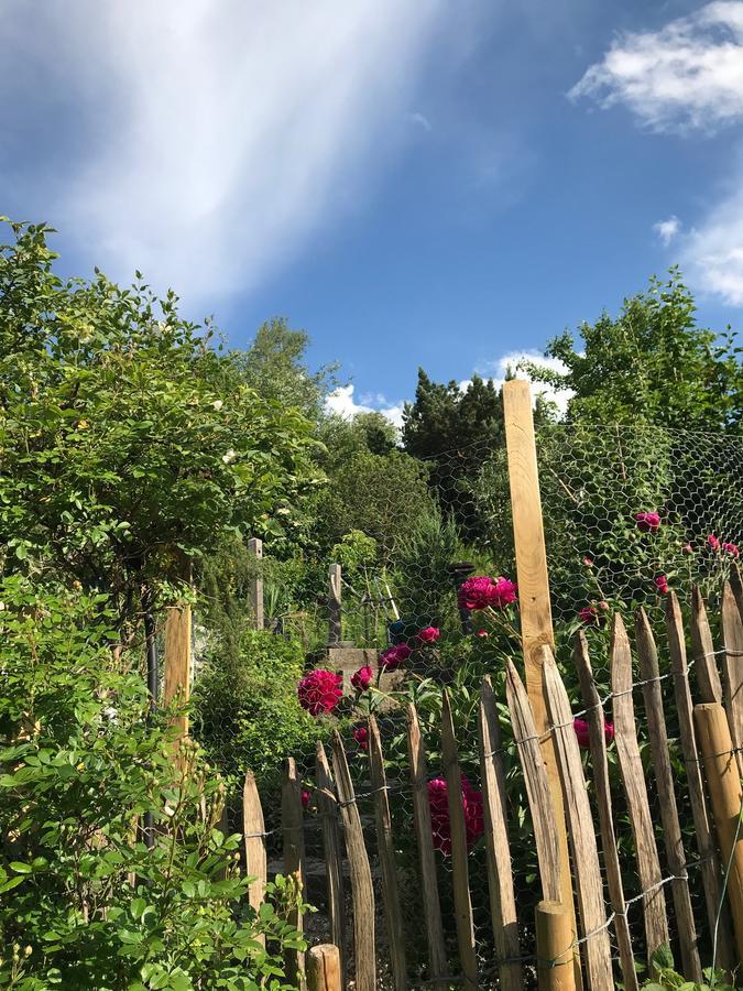 Chalet Alpenrose Schwangau Zewnętrze zdjęcie